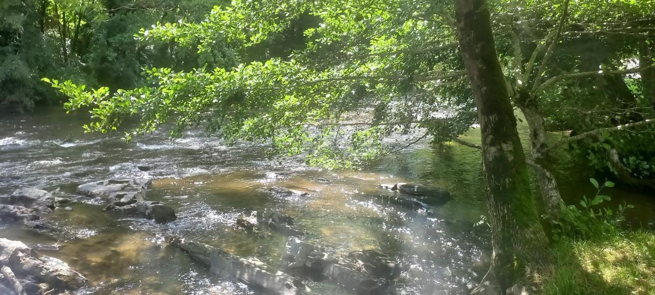 Les Berges Du Cele Hotel Bagnac Bagian luar foto